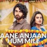 Jaane Anjaane Hum Mile